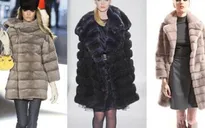 Georgio Armani quyết nói "không" với lông thú trong các thiết kế mới