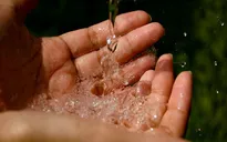 Mỹ: Lo ngại hàm lượng asen cao trong đất tại Montgomery