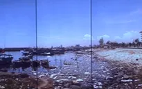 Ô nhiễm nghiêm trọng tại Âu thuyền Thọ Quang, Đà Nẵng