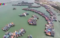 Tâm thế của ngư dân trong mùa biển mới