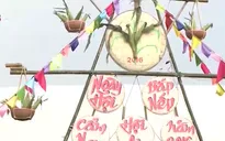 Xây dựng thương hiệu bắp nếp Hội An thông qua lễ hội