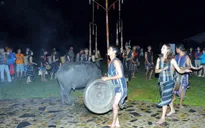 Lâm Đồng bỏ tục đâm trâu trong lễ hội