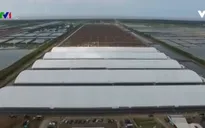 Sau 20 năm tái lập tỉnh, Bạc Liêu trở thành địa phương phát triển năng động