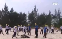 1.500 người chung tay làm sạch bãi biển ở Thừa Thiên - Huế