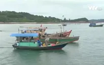 Những ngư dân đảo Cô Tô ngày đêm vươn khơi bám biển