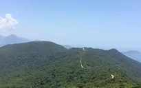 Chưa có chủ trương xây cáp treo trên Sơn Trà