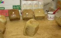 Chế biến bánh mì giúp ngăn ngừa bệnh
