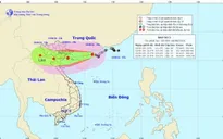 Chiều ngày 19/8, tâm bão số 3 trên vùng bờ biển Quảng Ninh - Thanh Hóa