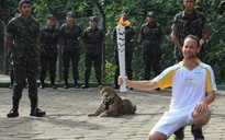 Báo đốm bị bắn chết sau khi rước đuốc Olympic Rio