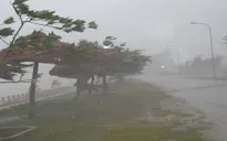Nam Định, Thái Bình chuẩn bị phương án sẵn sàng ứng phó với bão số 3
