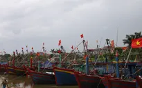 Nam Định di dời dân ở vùng nguy hiểm đến nơi an toàn