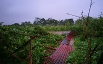 Bão số 1 đi qua, đồng ruộng xác xơ, nhà cửa tan hoang