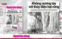 Không nương tay với thủy điện hại rừng