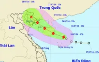 Họp ban chỉ đạo phòng chống cơn bão số 1 để ứng phó khẩn cấp