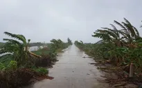 Giảm thiểu nhiều thiệt hại của bão số 3 nhờ chủ động ứng phó