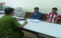 Bắt giữ 15 tấn cá bốc mùi hôi thối đang vận chuyển vào phía Nam tiêu thụ