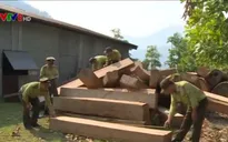 Bắt vụ vận chuyển pháo và gỗ hương qua biên giới