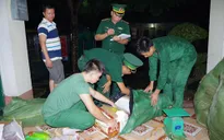 Bắt hơn 1,3 tấn thực phẩm đông lạnh chuyển trái phép qua biên giới