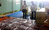 Bắt quả tang vụ ngâm hóa chất biến thịt trâu thành thịt bò