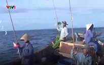 Nhộn nhịp mùa câu cá biển ở Quảng Trị