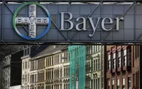 Monsanto từ chối "bán mình" cho Bayer với giá 62 tỷ USD