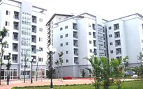 TP.HCM: 3.000 gia đình hân hoan đón Tết trong nhà ở xã hội