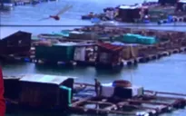 Hôm nay (9/8), Phú Yên kiểm tra việc tháo gỡ các bè nổi