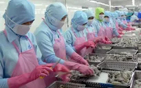 Ngành thủy sản chi hàng tỉ USD/năm để nhập khẩu nguyên liệu