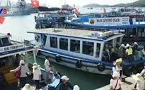 Khánh Hòa: Nhiều bến tàu du lịch hoạt động không phép