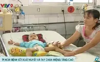 Bệnh nhân sốt xuất huyết và chân tay miệng tăng cao tại TP.HCM