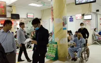 Lưu ý bảo quản thực phẩm, phòng bệnh tiêu hóa mùa hè