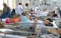 Gia tăng tai nạn giao thông do rượu bia ngày Tết