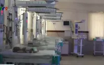 Ấn Độ: Triệt phá đường dây buôn bán trẻ sơ sinh tại bệnh viện