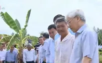 Tổng Bí thư kiểm tra tình hình hạn mặn tại Bến Tre