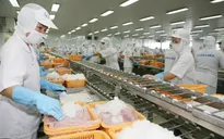 Xuất khẩu thủy sản đạt gần 3,1 tỷ USD