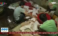 Ăn thịt chó, hãy coi chừng mầm bệnh!