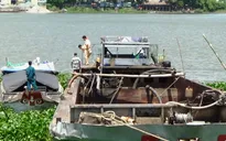 An Giang: Sà lan đâm ghe lúa, 2 người tử vong