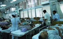 Gia tăng tai nạn giao thông do rượu bia ngày Tết