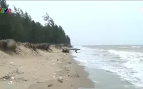 Hàng trăm hộ dân Thanh Hóa bị ảnh hưởng do xâm thực biển