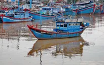 Đã cứu được 8 thuyền viên bị chìm tàu trên biển Vũng Tàu