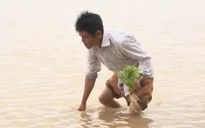 Người dân vùng lũ Bình Định khổ trăm bề vì cô lập kéo dài