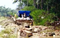15 tuyến đê sông bị vỡ, uy hiếp nhà dân tại Bình Định