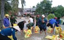 Mưa lũ liên tiếp, Bình Định di dời khẩn cấp hộ dân vùng sạt lở
