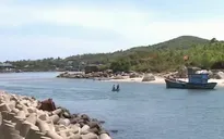 Bồi lấp cửa biển, ngư dân Quảng Ngãi khốn đốn