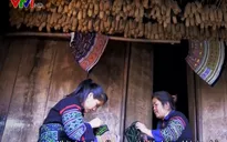 Người phụ nữ dân tộc Mông đấu tranh chống nạn buôn người