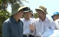 Bộ trưởng Bộ NN&PTNT kiểm tra tình hình hạn, mặn tại Tiền Giang