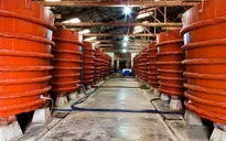 Bộ Công Thương lập đoàn kiểm tra hoạt động của Vinastas