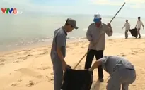 Doanh nghiệp du lịch chung tay bảo vệ môi trường biển TT-Huế