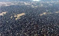 Hàng triệu con bọ hung phủ đen bờ biển Argentina
