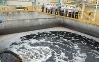Đặt trạm kiểm định môi trường trong khu vực Formosa